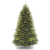 Dunhill fir tree