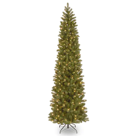 douglas fir tree for sale
