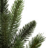 California Baby Redwood® Flip Tree®