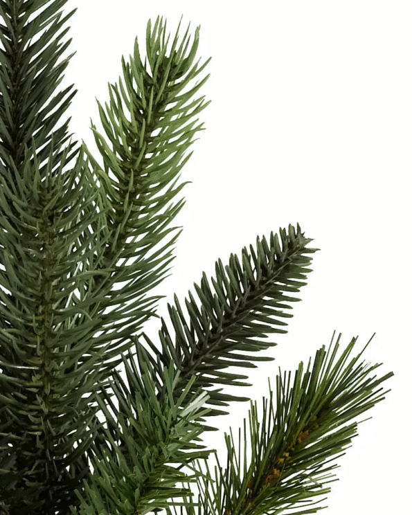BBR-T_California-Baby-Redwood_Detail California Baby Redwood® Tree
