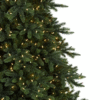 California Baby Redwood® Tree