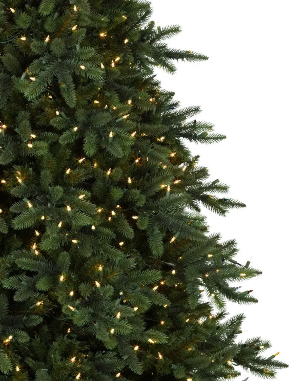 BBR-T_California-Baby-Redwood_LEDCA_Closeup-10 California Baby Redwood® Tree