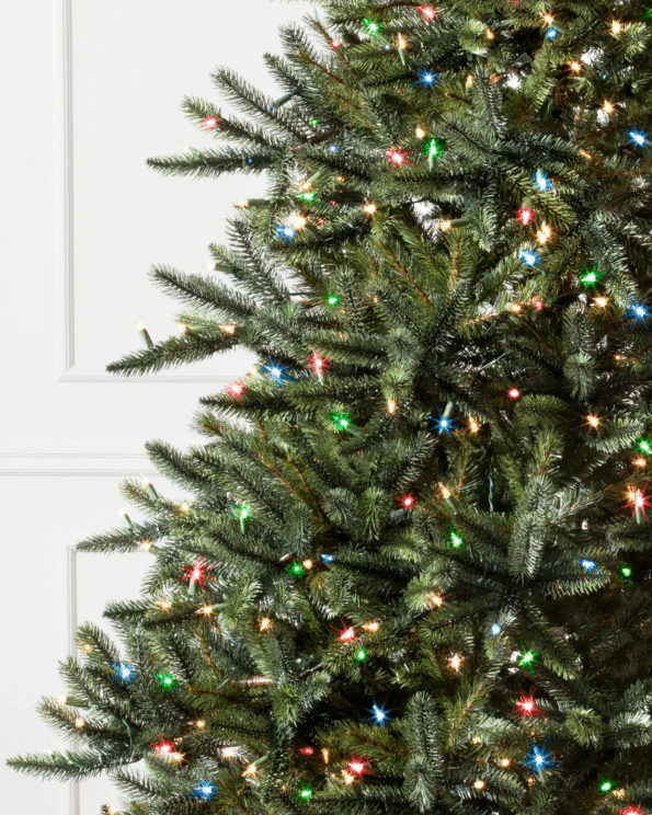 BBR-T_California-Baby-Redwood_LEDCPLUSC_Closeup-10 California Baby Redwood® Tree