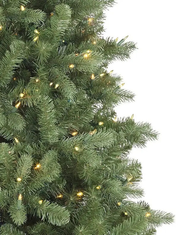 BEL-T_Bellevue-Spruce_LEDCA_Closeup-10 Bellevue Spruce