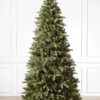 spruce tree