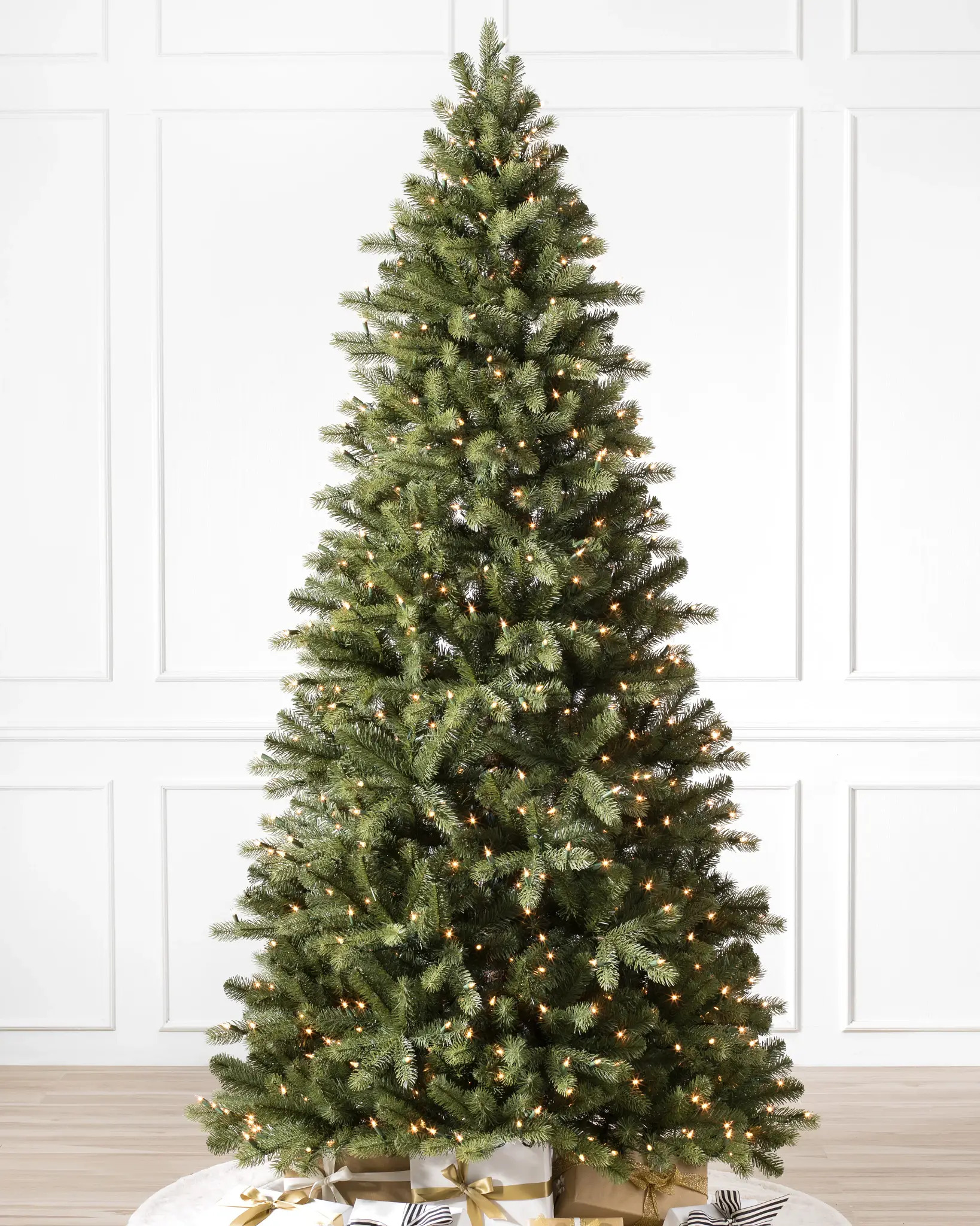 spruce tree