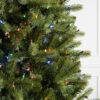 Bellevue Spruce