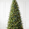 Bellevue Spruce