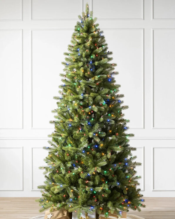 BEL-T_Bellevue-Spruce_LEDM_SSC Bellevue Spruce