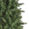 Bellevue Spruce