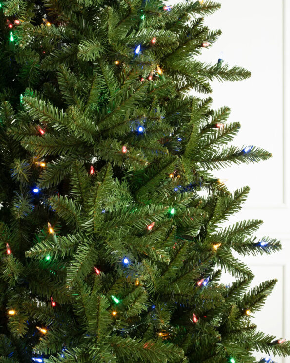 BER-T_Berkshire-Mountain-Fir_LEDM_Closeup-10 Berkshire Mountain Fir®