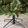 Berkshire Mountain Fir®