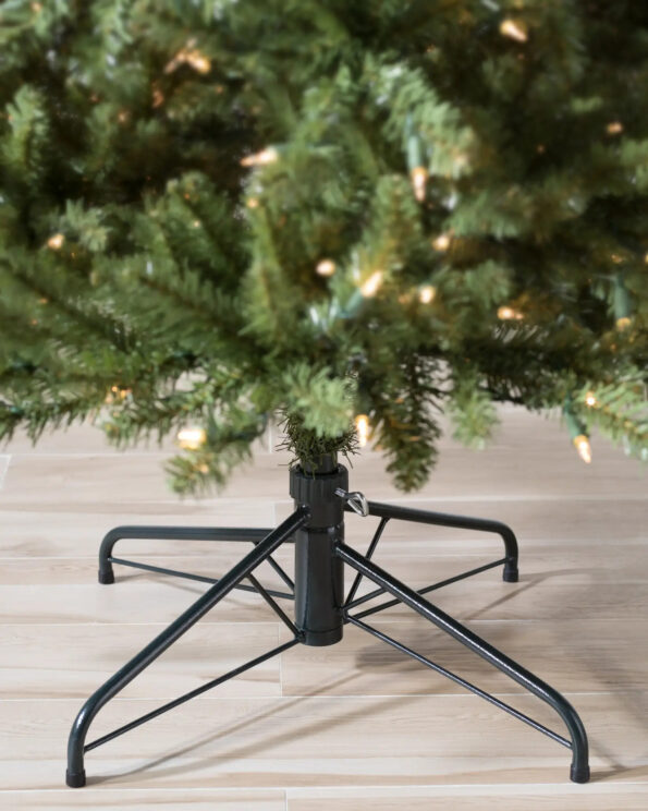 BER-T_Berkshire-Mountain-Fir_Stand_SpFeat-10 Berkshire Mountain Fir®