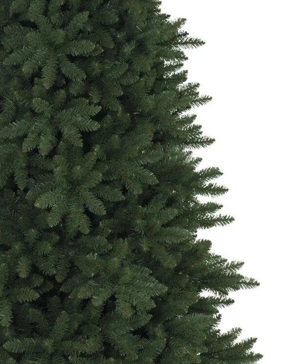 BER-T_Berkshire-Mountain-Fir_Unlit_Closeup-40 Berkshire Mountain Fir®