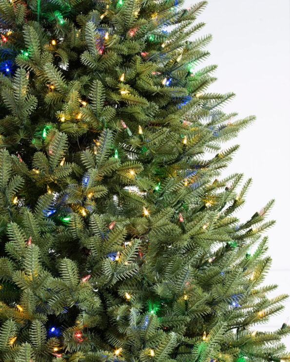 BFR-N_BH-Balsam-Fir-Narrow-Tree_LEDCPLUSC_Closeup-10 Fir® Narrow Tree