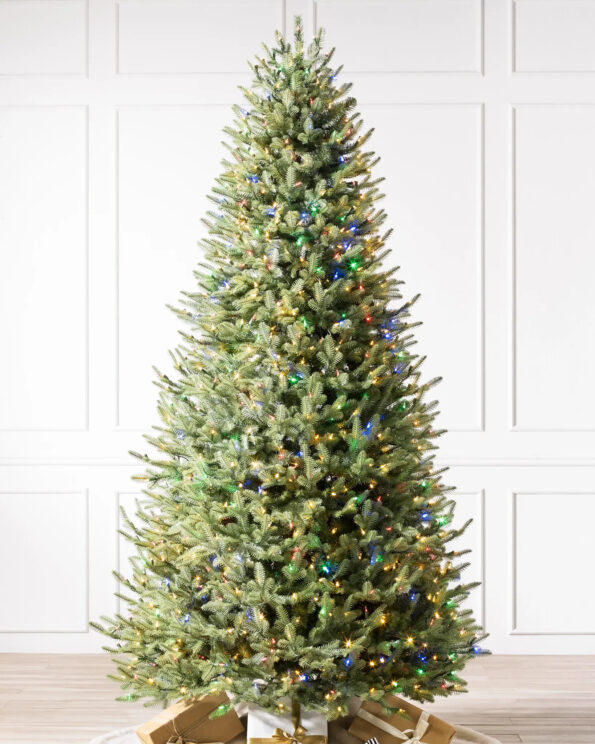 BFR-N_BH-Balsam-Fir-Narrow-Tree_LEDCPLUSC_SSC Fir® Narrow Tree