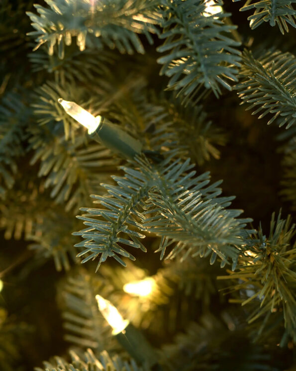 BFR-N_BH-Balsam-Fir-Narrow_Closeup-50 Fir® Narrow Tree