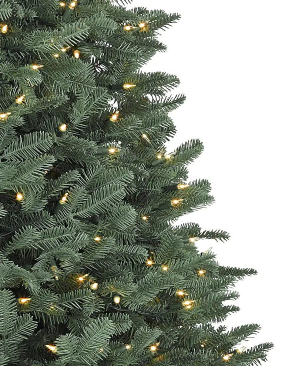 BFR-N_BH-Balsam-Fir-Narrow_LEDCA_Closeup-10 Fir® Narrow Tree