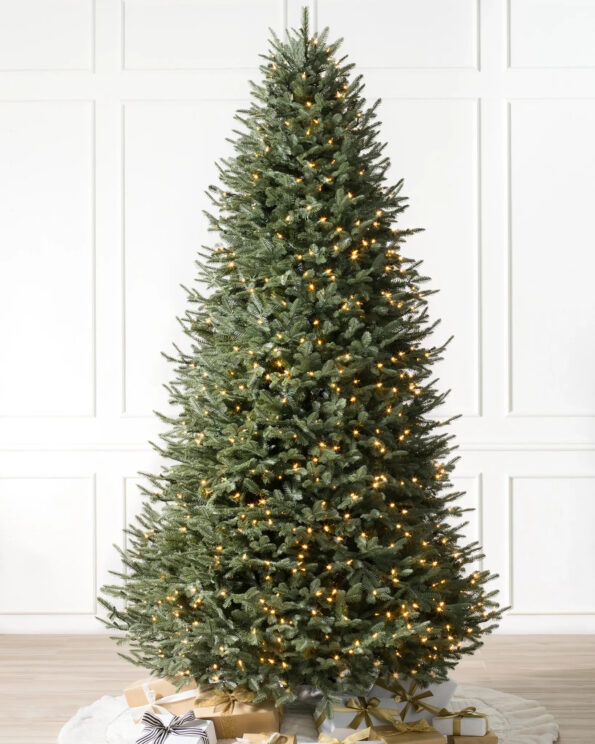 BFR-N_BH-Balsam-Fir-Narrow_LEDCA_SSC-10 narrow tree