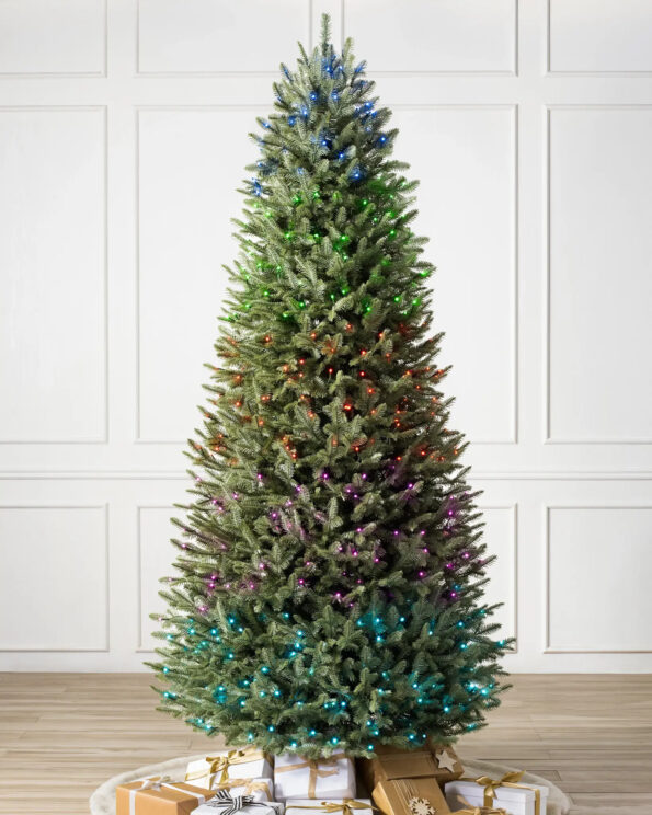 BFR-N_BH-Balsam-Fir-Narrow_Twinkly_SSC Fir® Narrow Tree