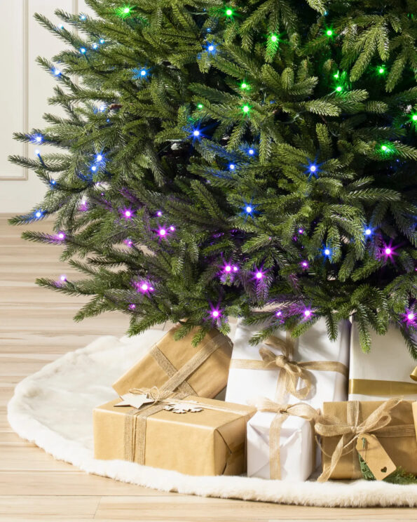 BLH-T_Black-Hills-Spruce_Twinkly_Closeup-20 Black Hills Spruce