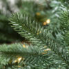 Biltmore® Spruce