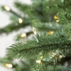 Biltmore® Spruce