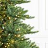 Biltmore® Spruce