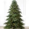 biltmore spruce tree