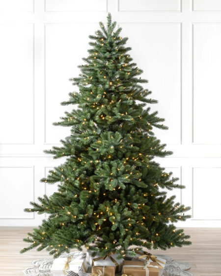 biltmore spruce tree