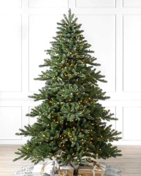 biltmore spruce tree