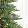 Biltmore® Spruce