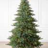 Biltmore® Spruce