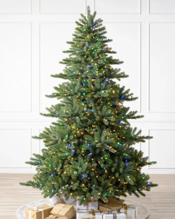Biltmore® Spruce