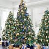 Biltmore® Spruce
