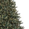 Classic Blue Spruce®