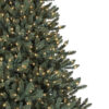 Classic Blue Spruce®