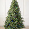 Classic Blue Spruce®