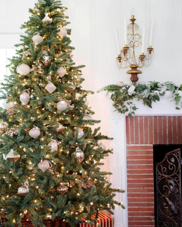 BLU-T_Classic-Blue-Spruce_Lifestyle-20 Classic Blue Spruce®