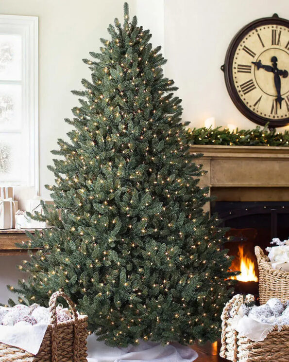 BLU-T_Classic-Blue-Spruce_Lifestyle-30 Classic Blue Spruce®