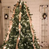 Classic Blue Spruce®