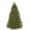 Dunhill fir tree