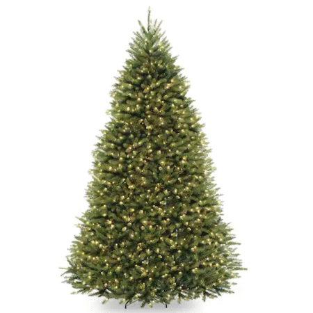 Dunhill fir tree