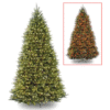 dunhill fir tree