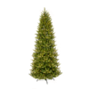 fraser fir tree