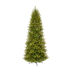 Fraser fir tree