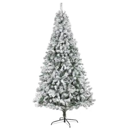 spruce tree