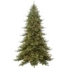 fraser fir tree for sale