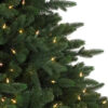 Durango Douglas Fir® Wide Tree