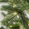 European Fir® Tree
